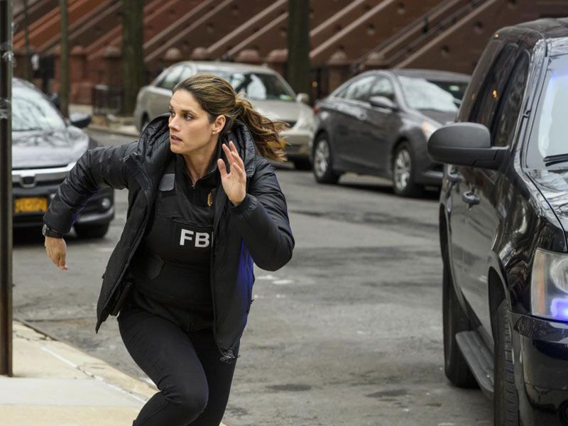 FBI: Special Crime Unit : Bild Missy Peregrym
