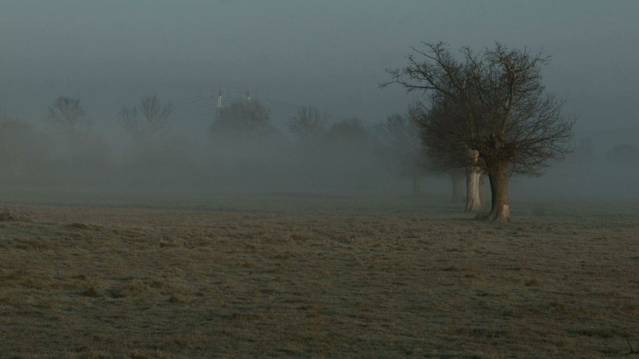 Pour Ernestine : Bild