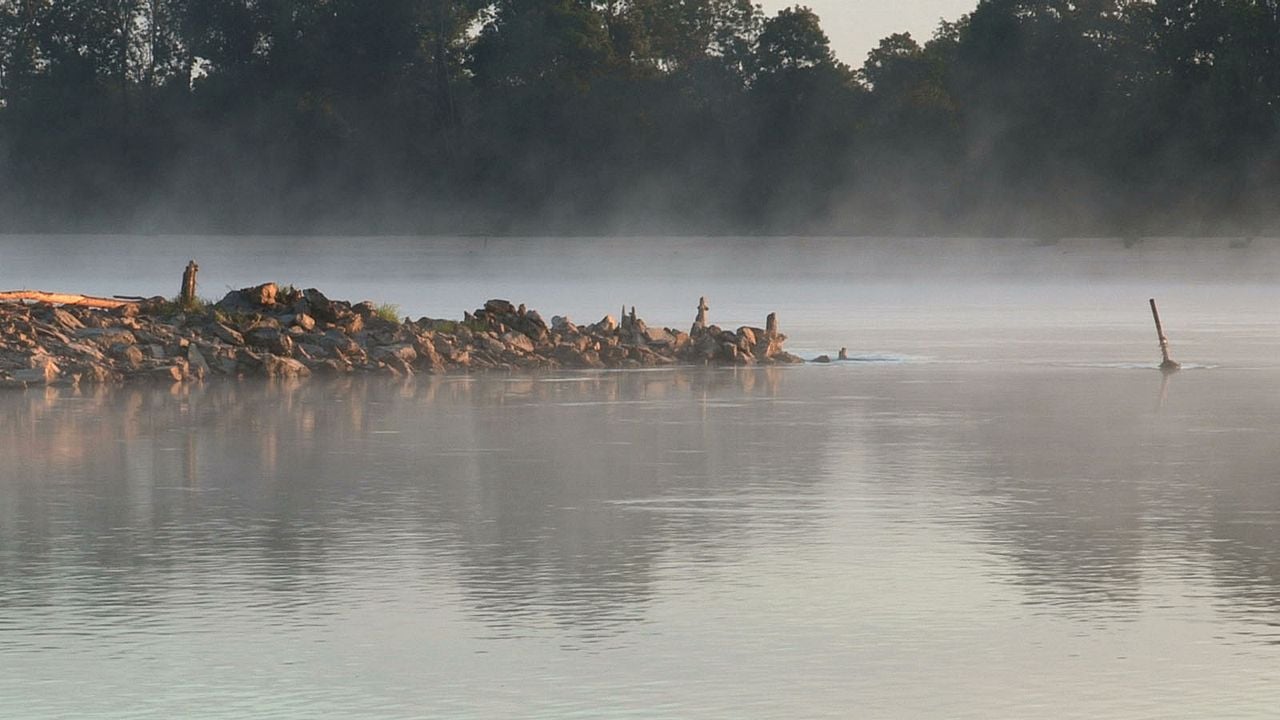 Pour Ernestine : Bild