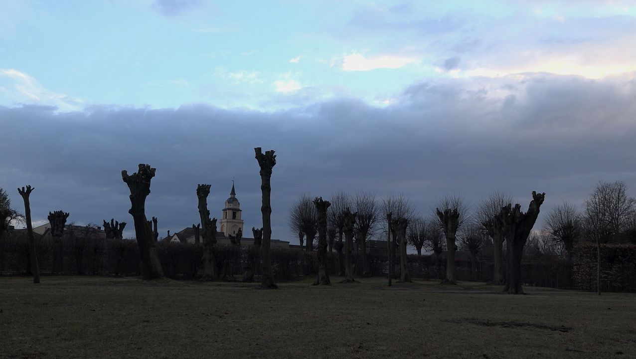 Spreeland. Fontane : Bild