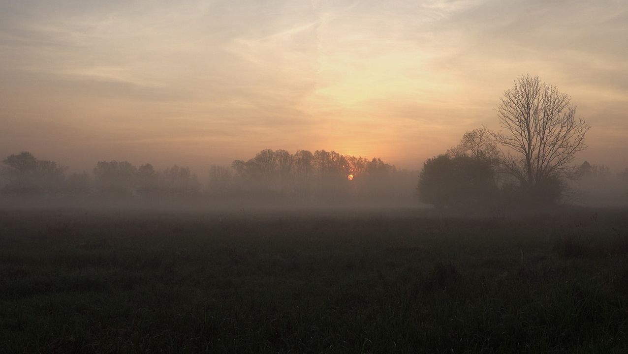 Spreeland. Fontane : Bild