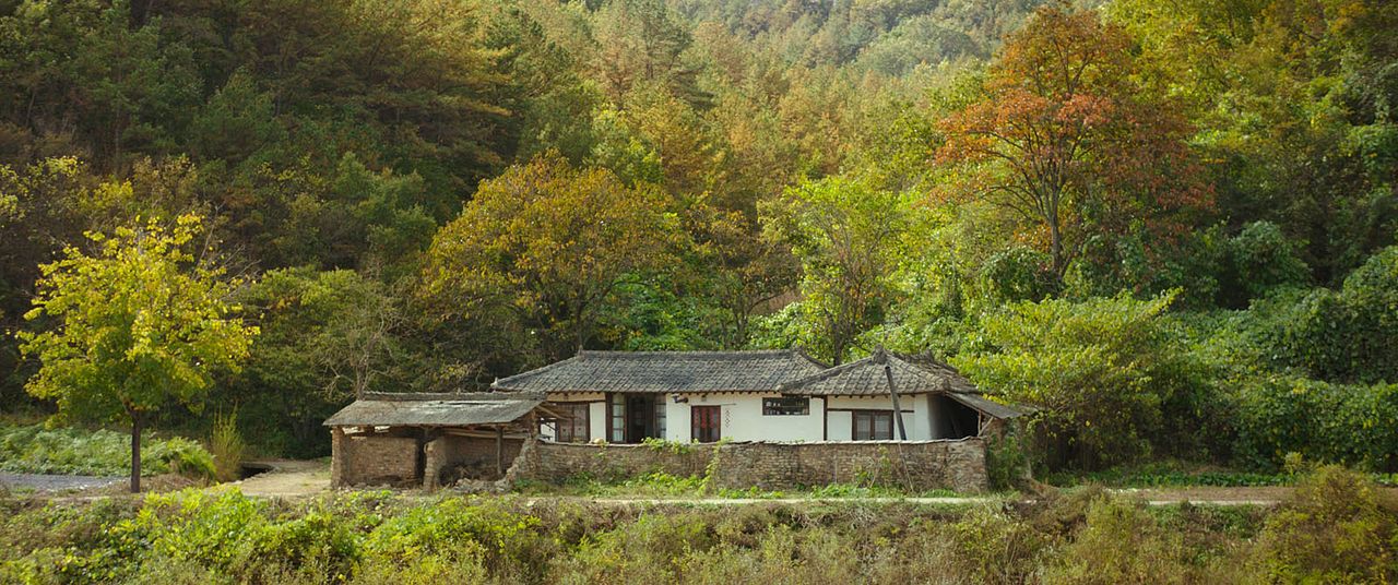 Little Forest : Bild