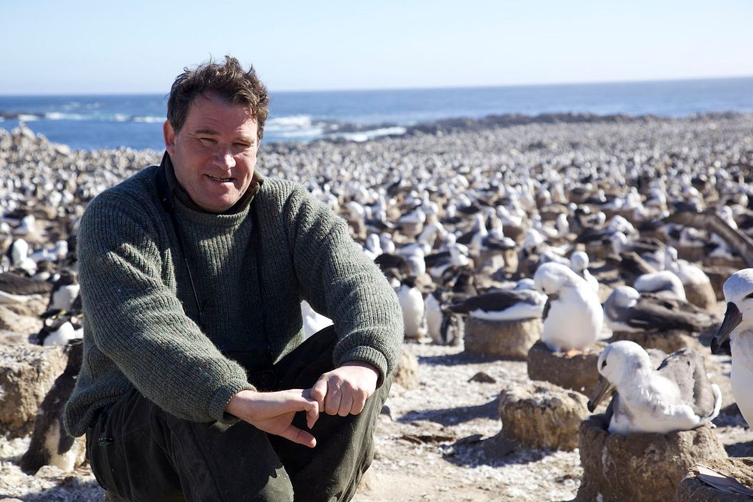 Bild Alastair Fothergill