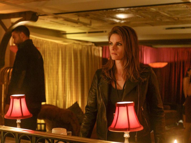 FBI: Special Crime Unit : Bild Missy Peregrym