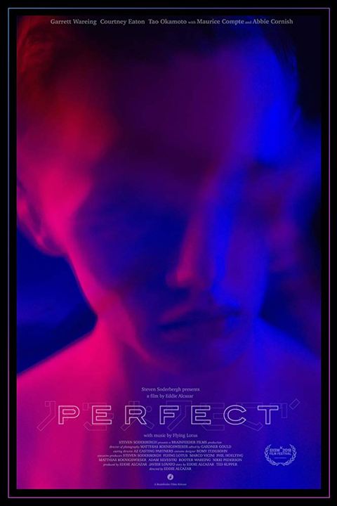 Perfect : Kinoposter