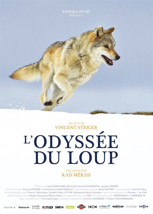 L'Odyssée du loup : Kinoposter