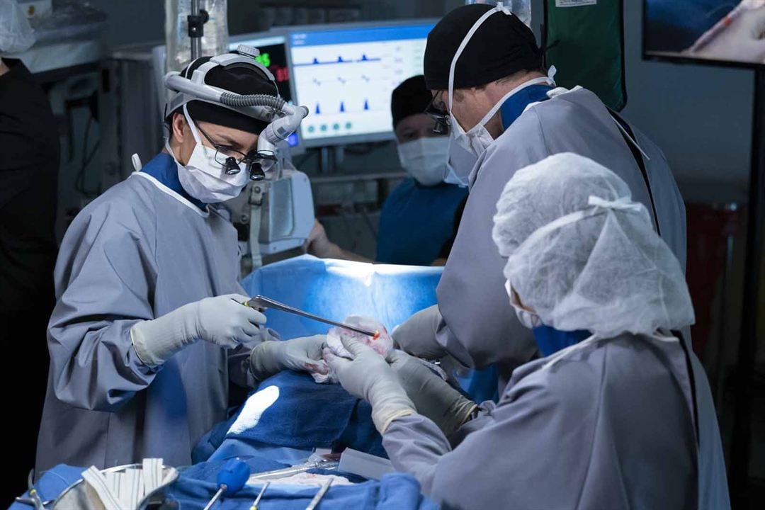 Grey's Anatomy - Die jungen Ärzte : Bild Caterina Scorsone, Chris Carmack