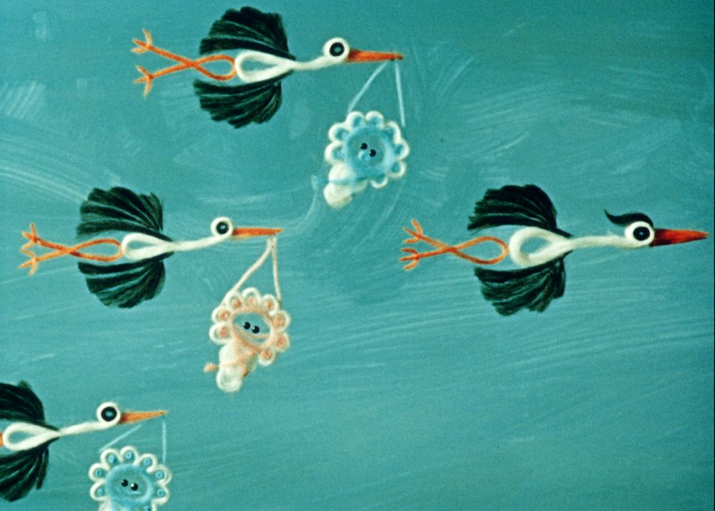 Drôles de cigognes ! : Bild