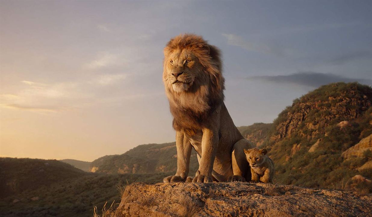 Der König der Löwen : Bild