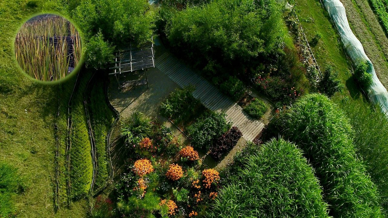 Le Jardin Des Cimes - Une Enclave En Altitude : Bild