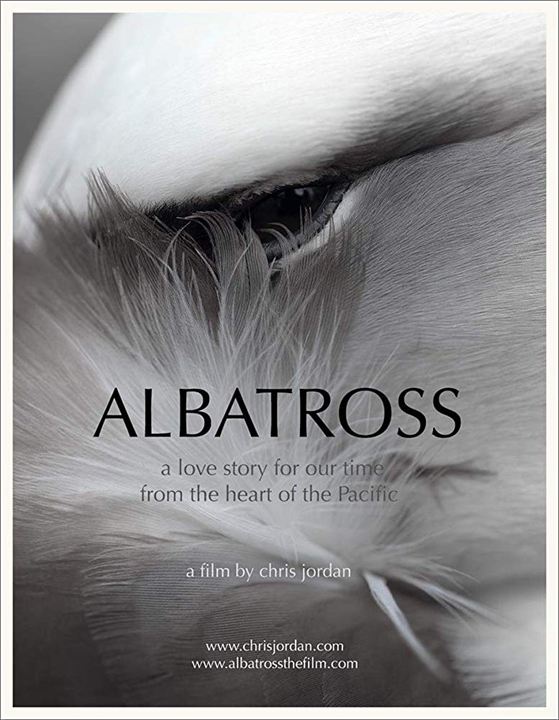 Albatross : Kinoposter