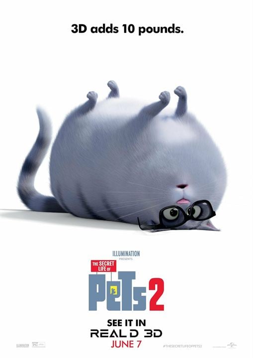 Pets 2 : Kinoposter