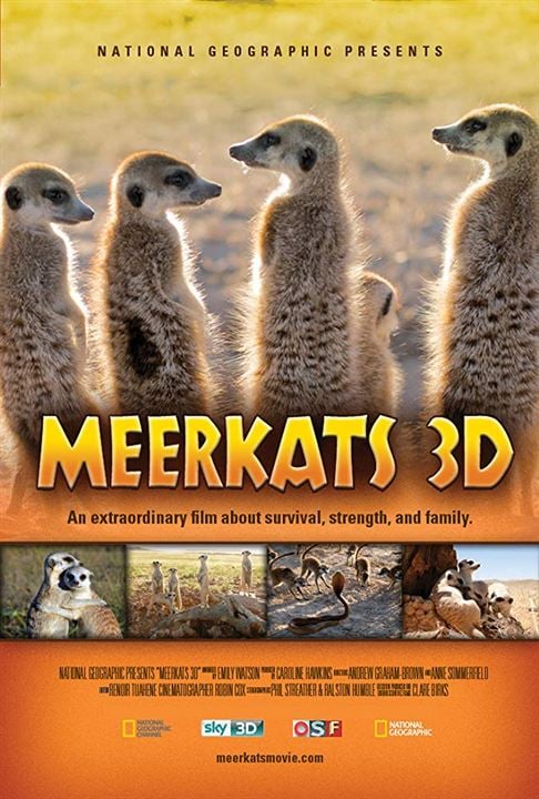 Meerkats : Kinoposter