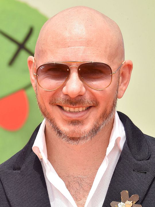 Kinoposter Pitbull
