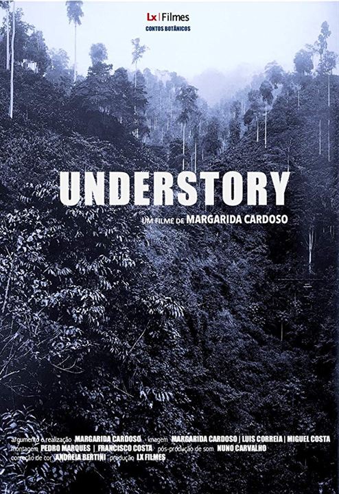 Understory : Kinoposter