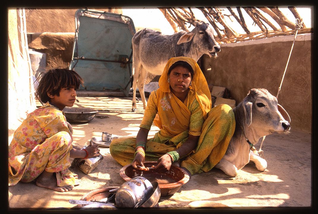 Princes et Vagabonds : Bild