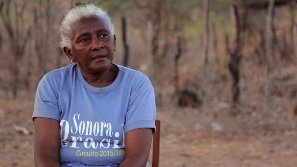 Vozes da Floresta : Bild