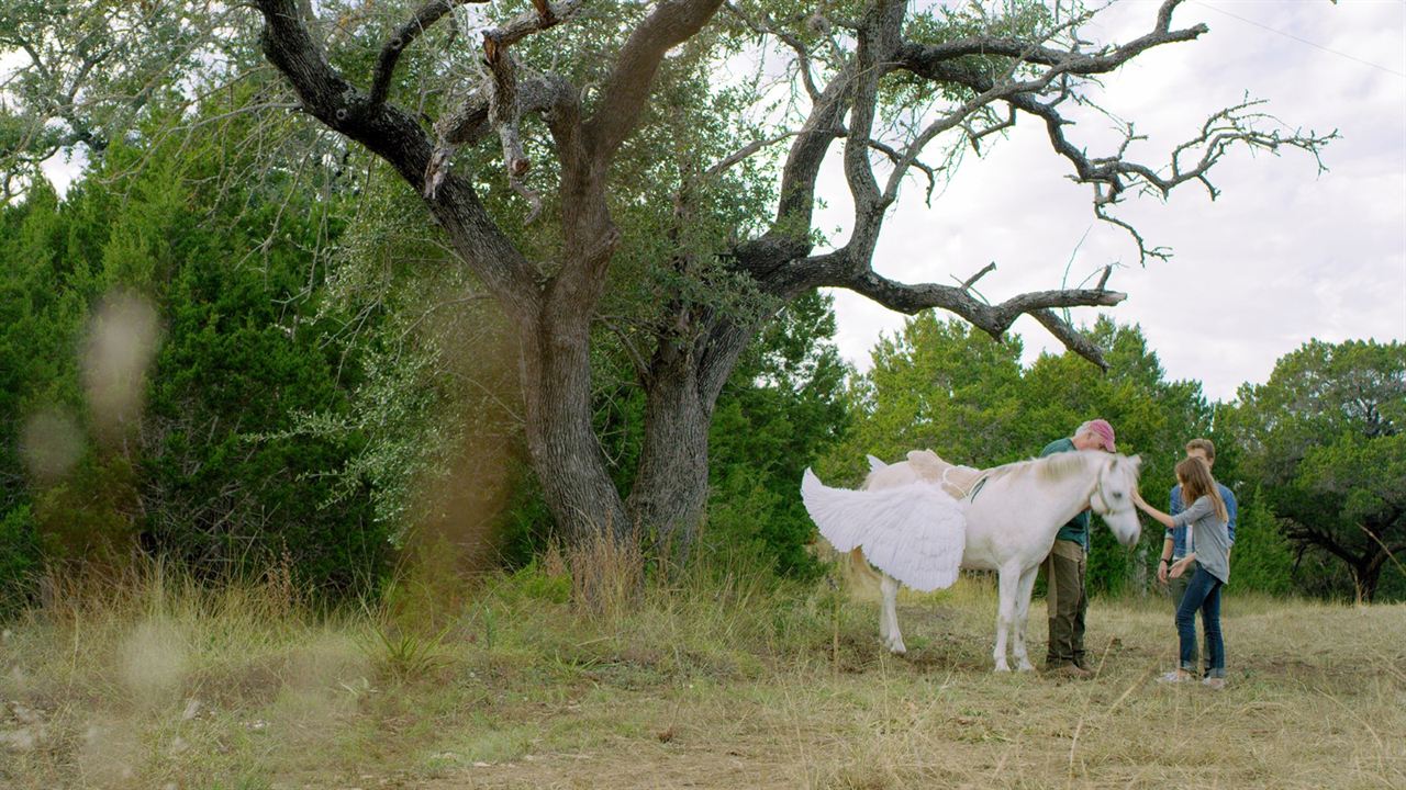 Foto zum Film Pegasus - Das Pferd mit den magischen Flügeln - Bild 5