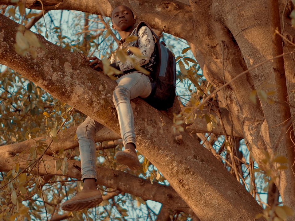 Semillas de alegría : Bild