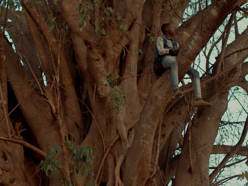 Semillas de alegría : Bild