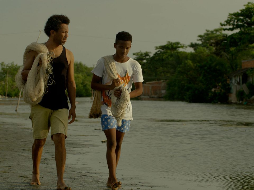 Semillas de alegría : Bild