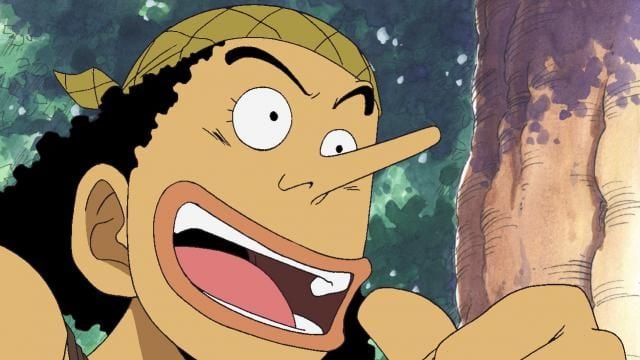 One Piece : Bild