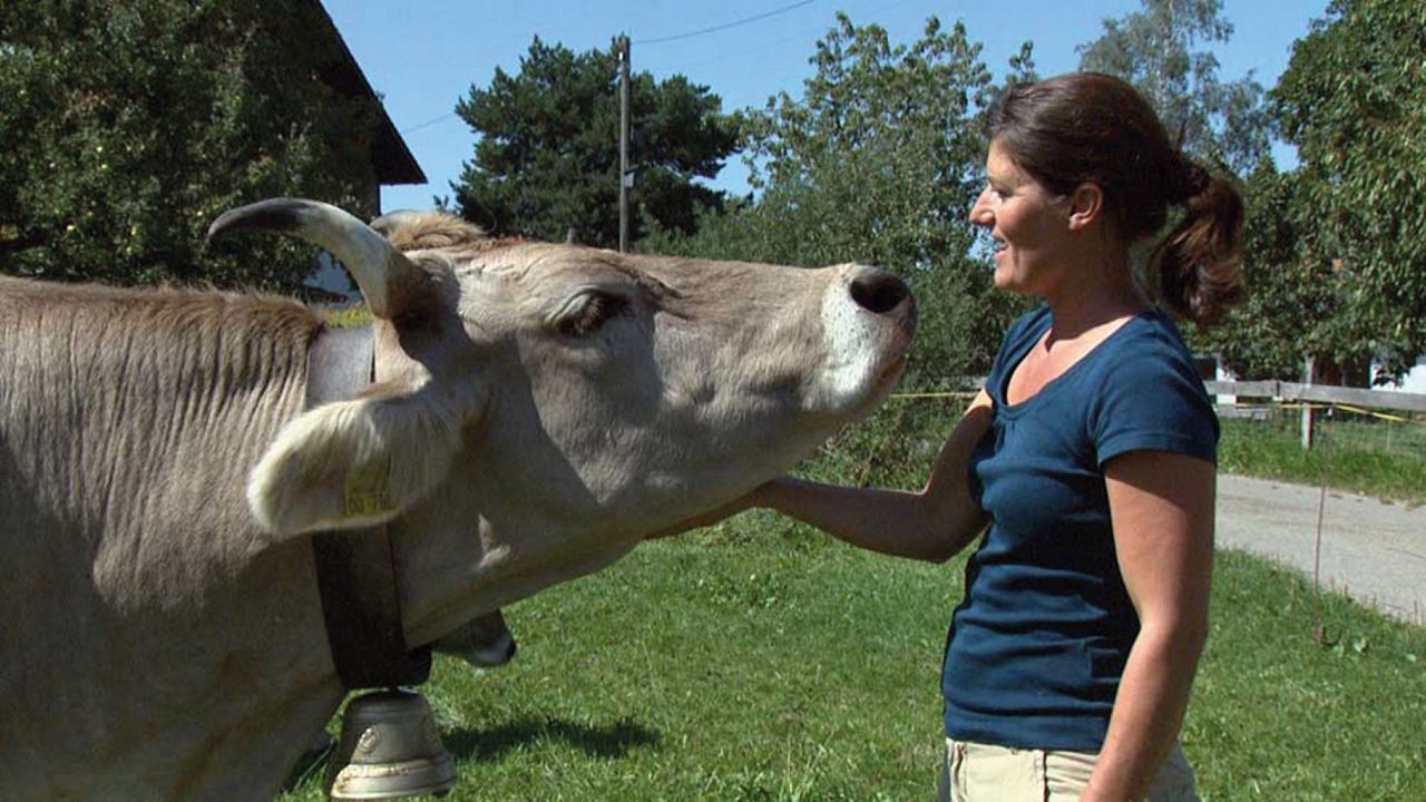 Aus Liebe zum Überleben : Bild