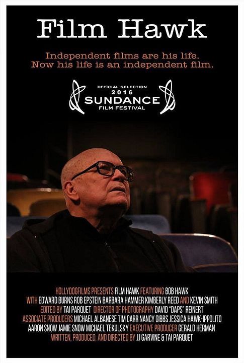 Film Hawk : Kinoposter