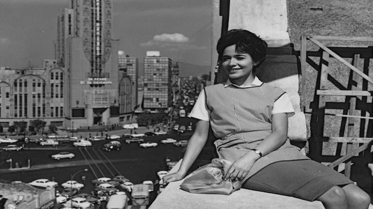 Días de Otoño : Bild