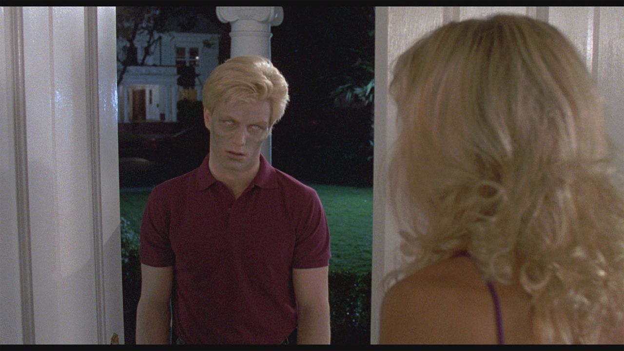 Die Nacht der Creeps : Bild