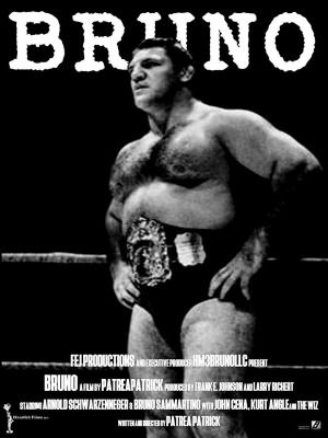 Bruno Sammartino : Kinoposter