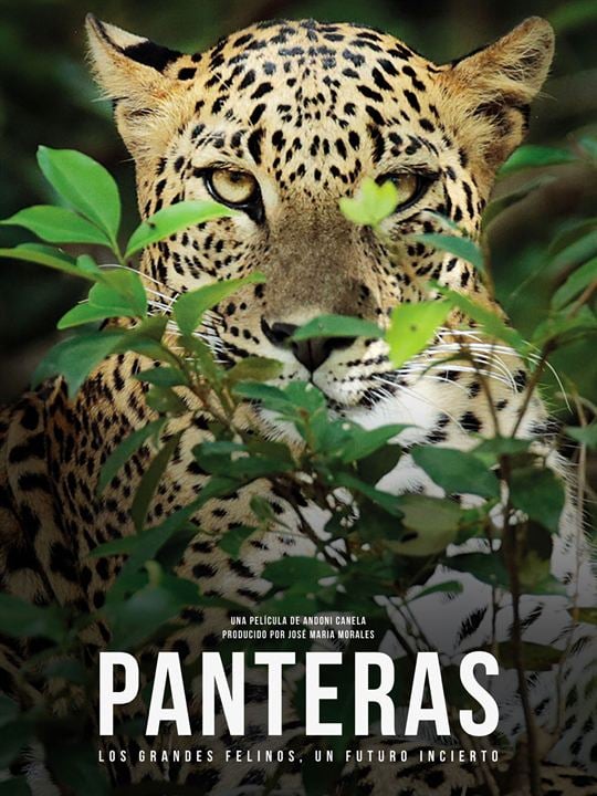 Panteras : Kinoposter