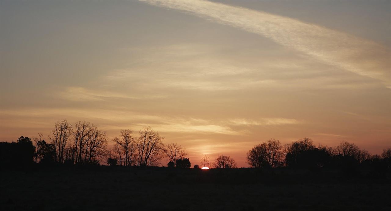 Himmel über dem Camino - Der Jakobsweg ist Leben! : Bild