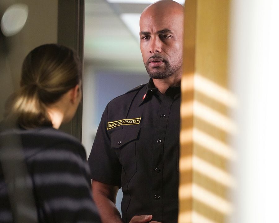 Seattle Firefighters - Die jungen Helden : Bild Boris Kodjoe