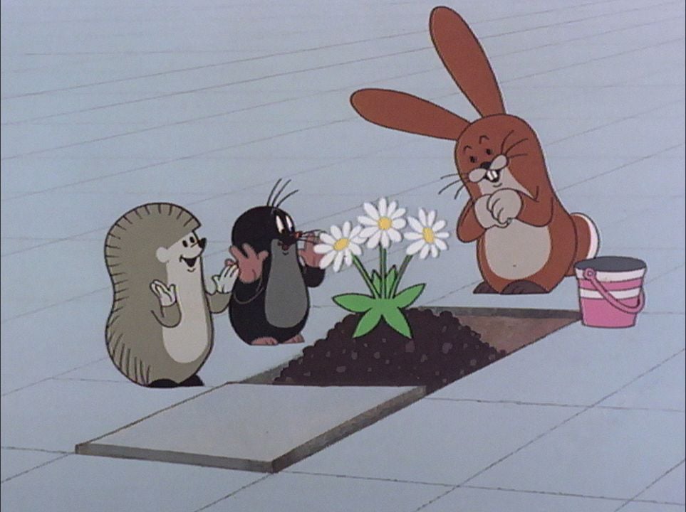 La Petite taupe aime la nature : Bild