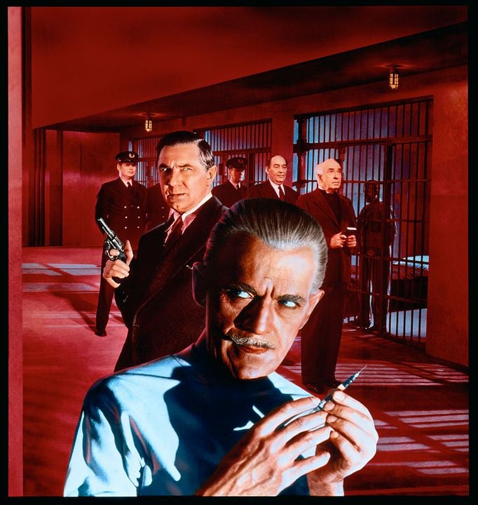 Schwarzer Freitag : Bild