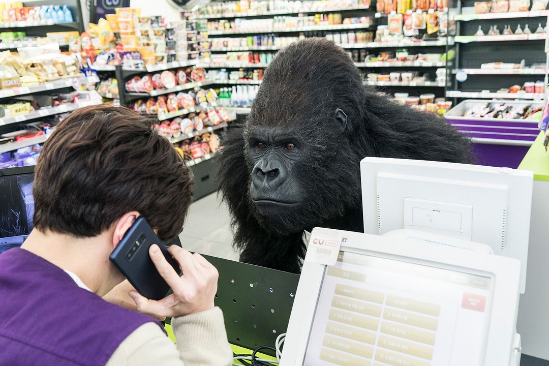 Rettet den Zoo : Bild