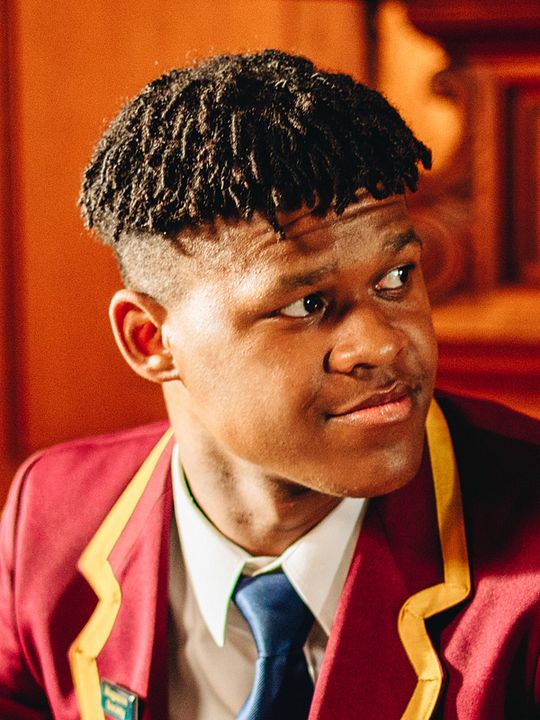 Kinoposter Dillon Windvogel