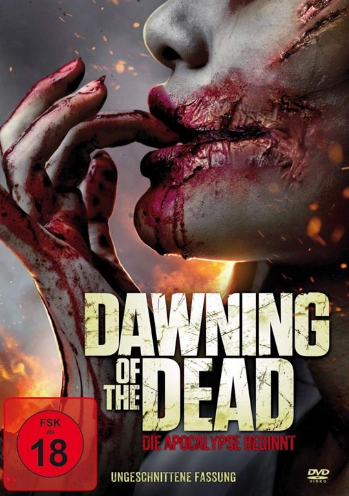 Dawning Of The Dead - Die Apocalypse beginnt : Kinoposter