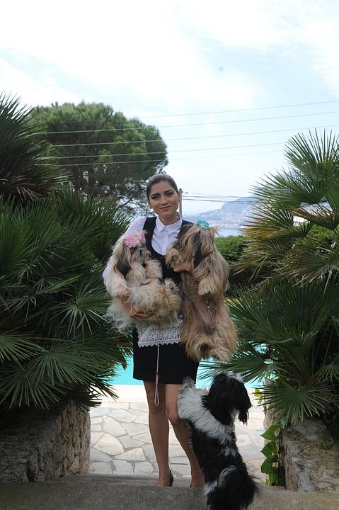 Allein zu Haus mit Opa : Bild