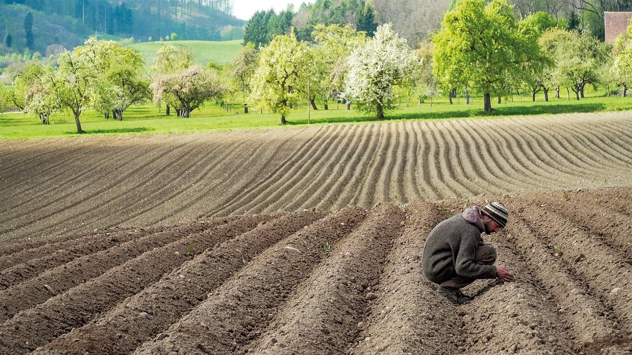 Unser Boden, unser Erbe : Bild