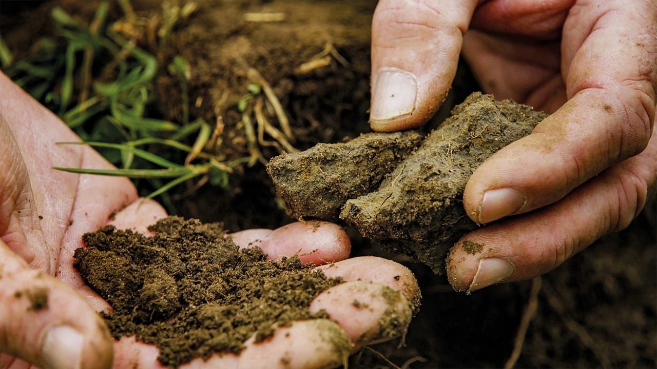 Unser Boden, unser Erbe : Bild