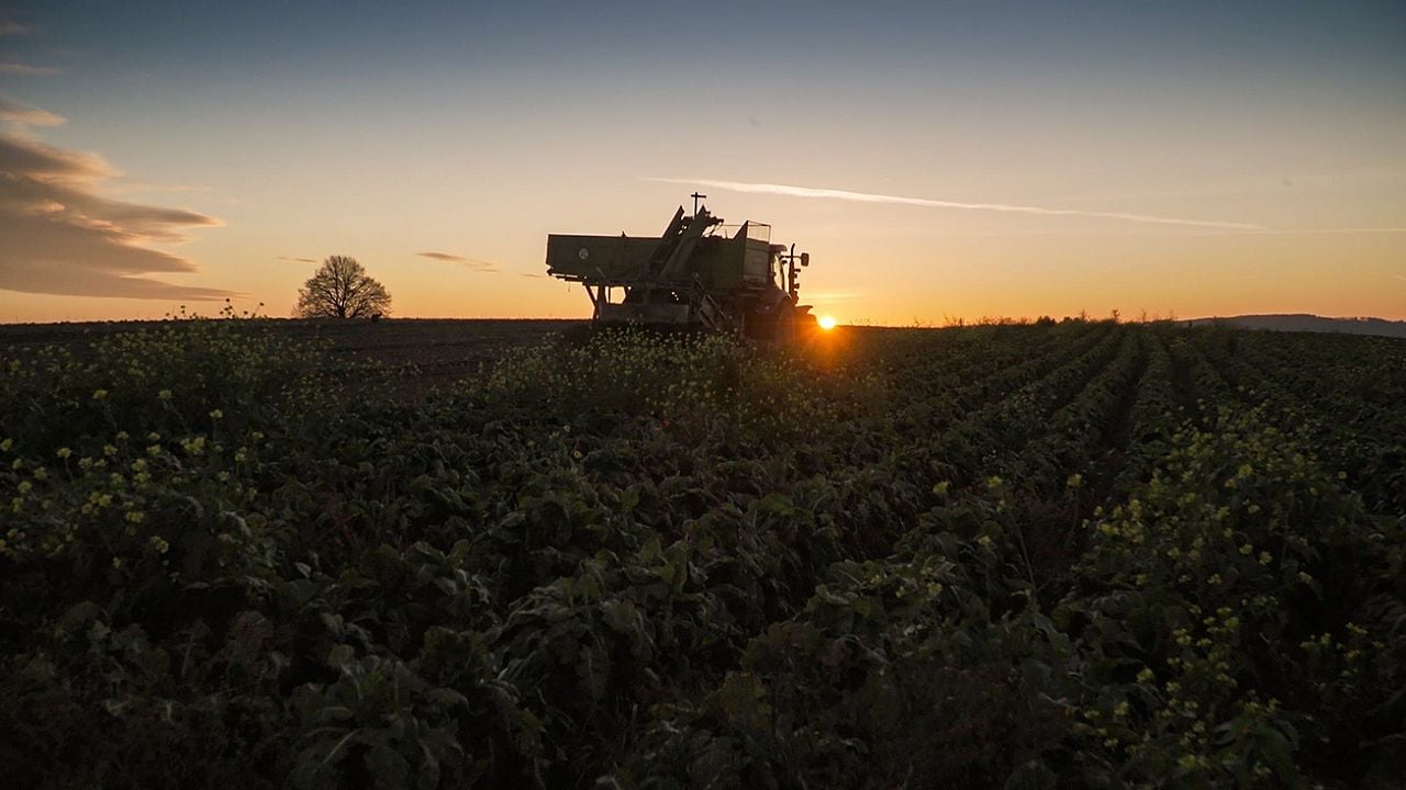 Unser Boden, unser Erbe : Bild