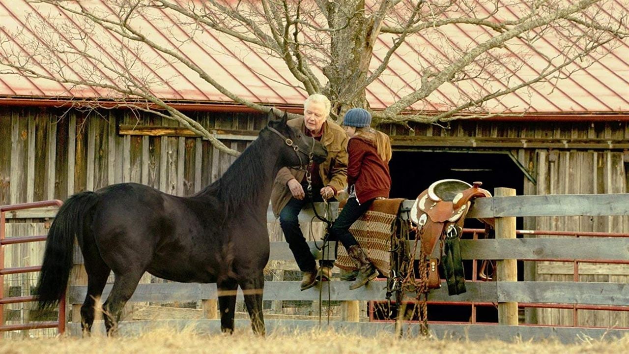 Shelly und Orphan - Im Schicksal vereint : Bild