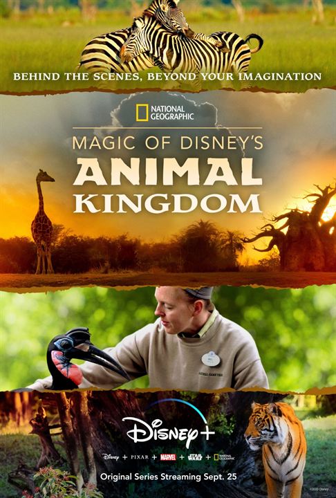 Magic of Disney's Animal Kingdom : Kinoposter