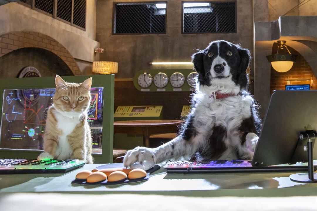 Cats & Dogs 3: Pfoten vereint! : Bild