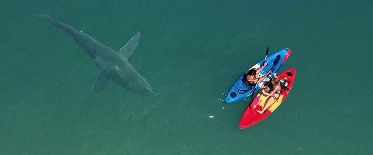 Shark Season - Angriff aus der Tiefe : Bild