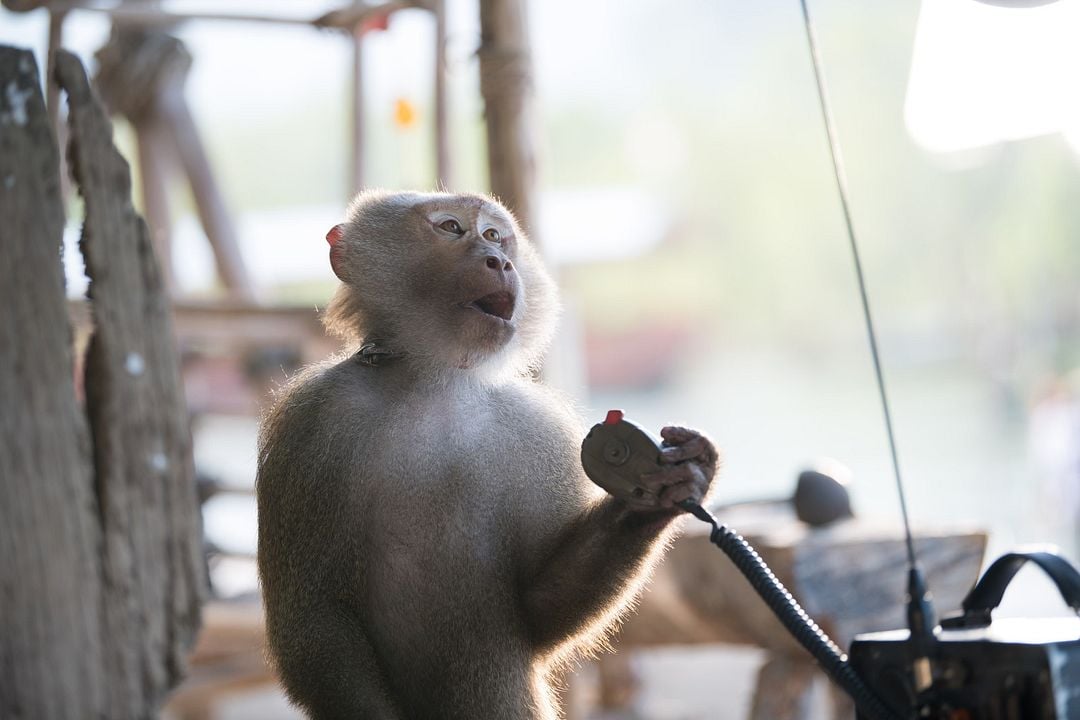 Tremors 7 - Shrieker Island : Bild