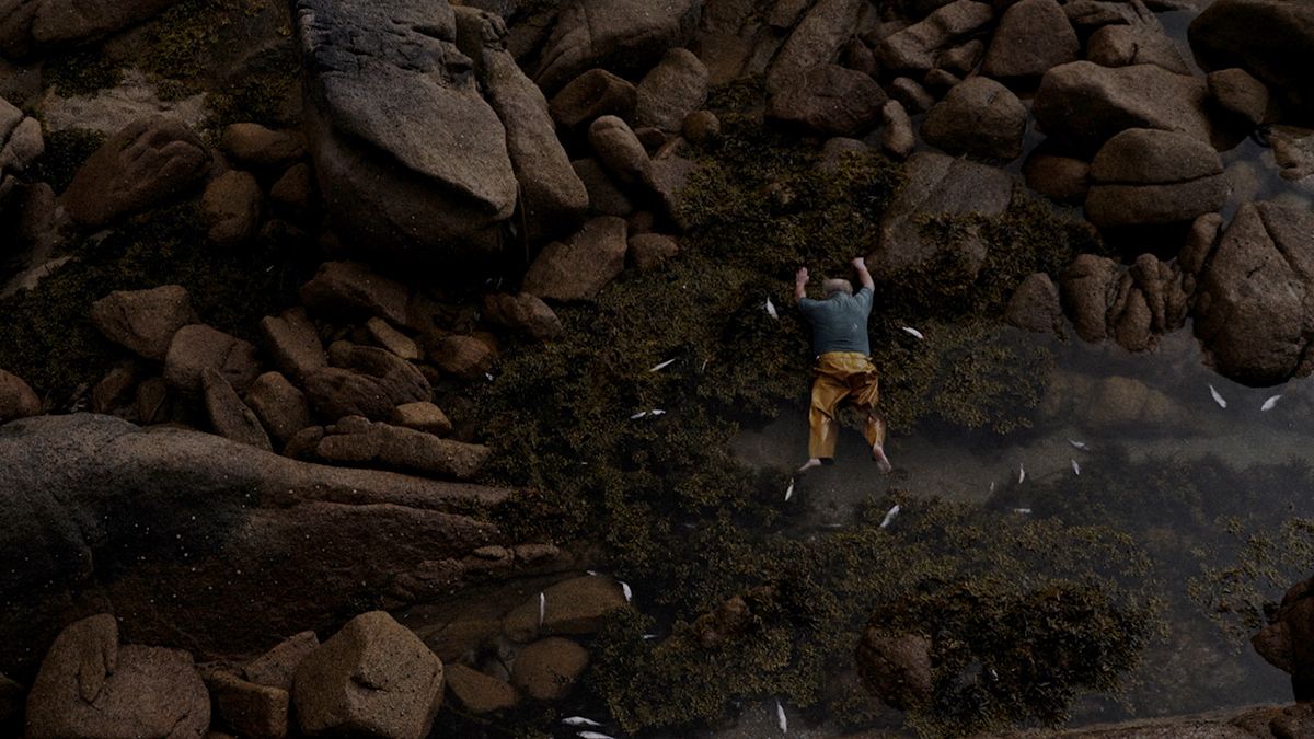 Red Moon Tide : Bild