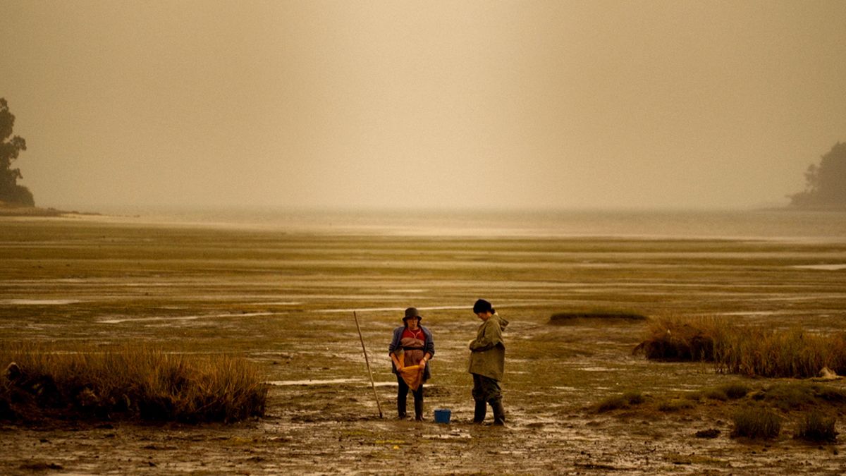 Red Moon Tide : Bild